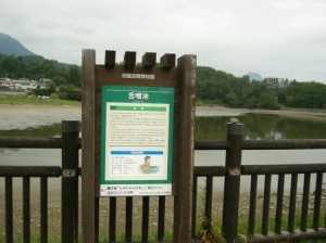 手塚コウノトリ (2)