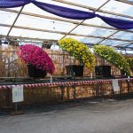 IMG_20221031_144619
