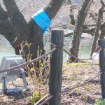 IMG_20230329_094500