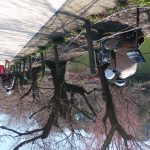 IMG_20230329_094735